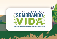 sembrando-vida